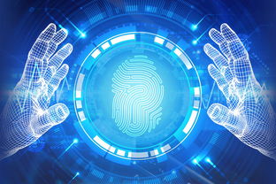 網絡科技領域內的技術開發與法律規制